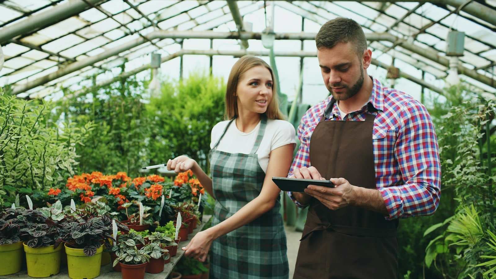 Two florists checking their shop on a tablet in the greenhouse